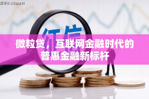 炉霍微粒贷，互联网金融时代的普惠金融新标杆