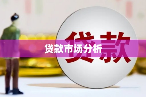 炉霍贷款市场分析