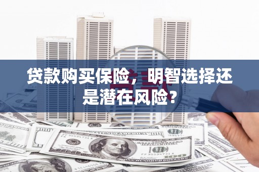 炉霍贷款购买保险，明智选择还是潜在风险？