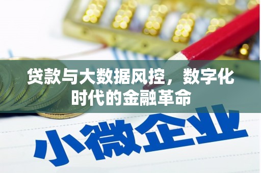 炉霍贷款与大数据风控，数字化时代的金融革命