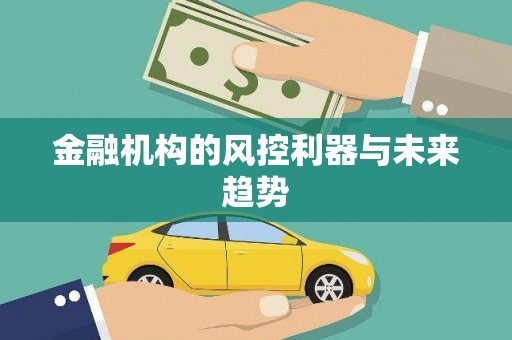 炉霍金融机构的风控利器与未来趋势