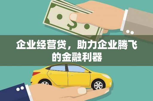 炉霍企业经营贷，助力企业腾飞的金融利器