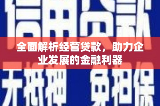 炉霍全面解析经营贷款，助力企业发展的金融利器