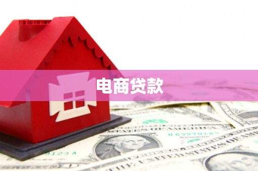 炉霍电商贷款