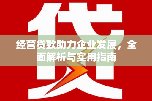 炉霍经营贷款助力企业发展，全面解析与实用指南