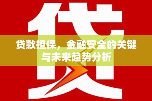 炉霍贷款担保，金融安全的关键与未来趋势分析