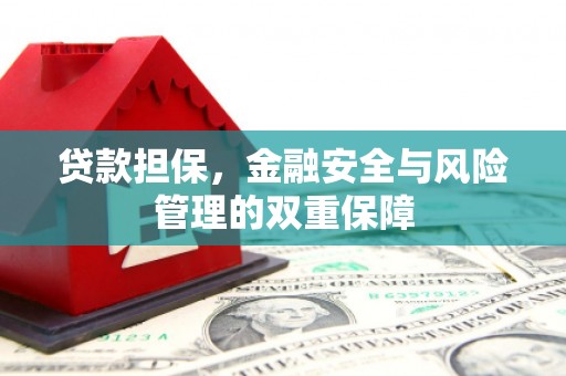 炉霍贷款担保，金融安全与风险管理的双重保障