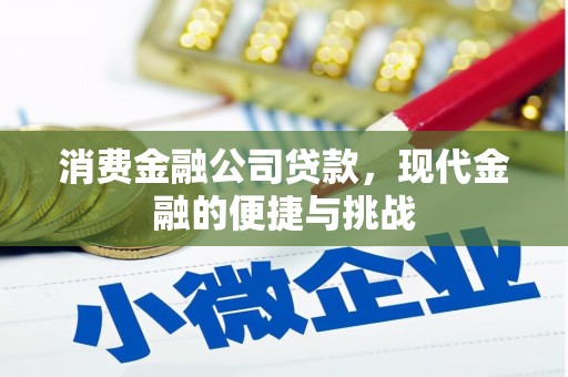 炉霍消费金融公司贷款，现代金融的便捷与挑战