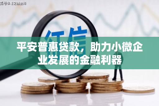 炉霍平安普惠贷款，助力小微企业发展的金融利器