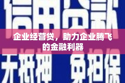 炉霍企业经营贷，助力企业腾飞的金融利器