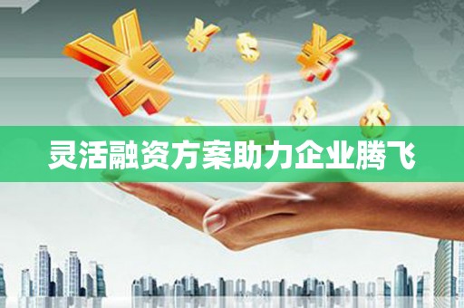 炉霍灵活融资方案助力企业腾飞