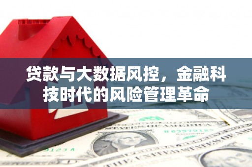 炉霍贷款与大数据风控，金融科技时代的风险管理革命