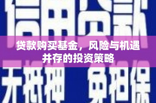 炉霍贷款购买基金，风险与机遇并存的投资策略
