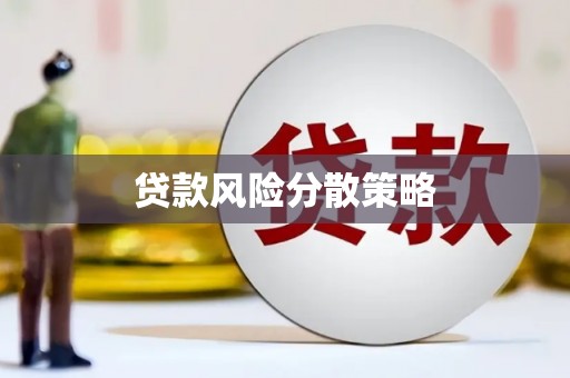 炉霍贷款风险分散策略