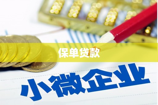 炉霍保单贷款