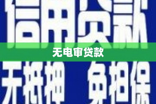 炉霍无电审贷款