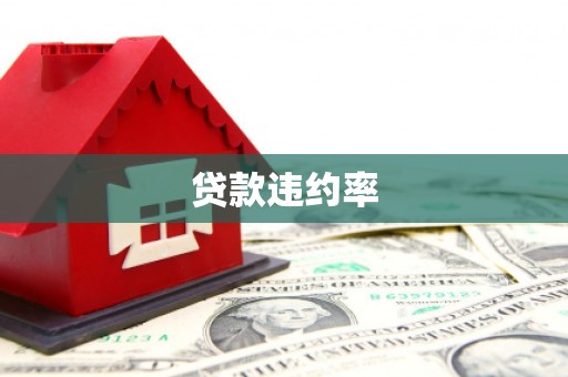 炉霍贷款违约率