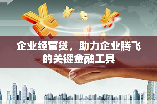 炉霍企业经营贷，助力企业腾飞的关键金融工具