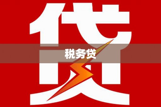 炉霍税务贷
