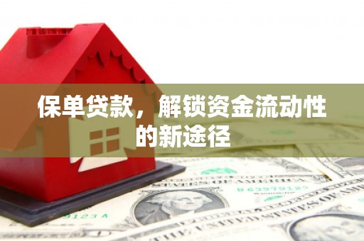 炉霍保单贷款，解锁资金流动性的新途径