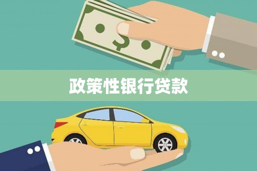 炉霍政策性银行贷款