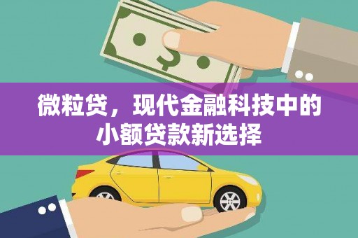 炉霍微粒贷，现代金融科技中的小额贷款新选择
