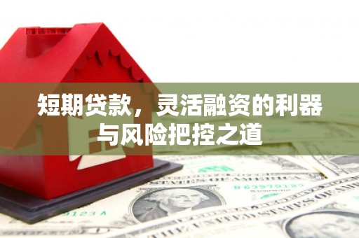 炉霍短期贷款，灵活融资的利器与风险把控之道
