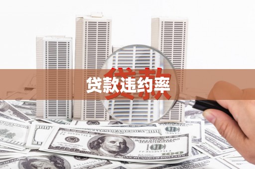 炉霍贷款违约率