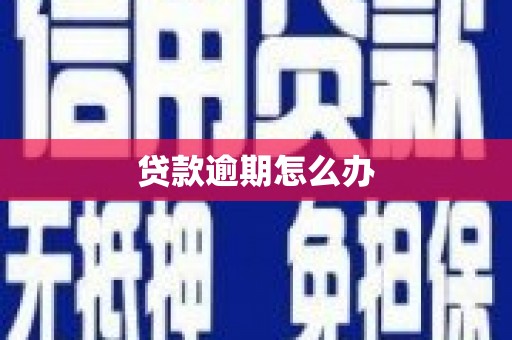 炉霍贷款逾期怎么办