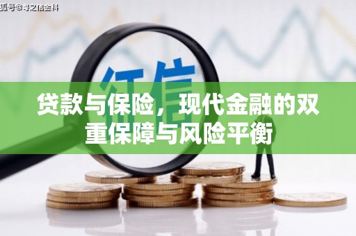 炉霍贷款与保险，现代金融的双重保障与风险平衡
