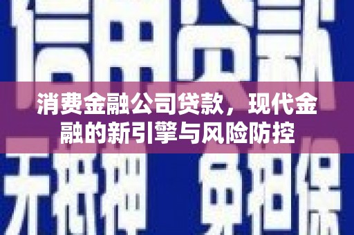 炉霍消费金融公司贷款，现代金融的新引擎与风险防控