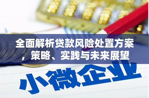炉霍全面解析贷款风险处置方案，策略、实践与未来展望