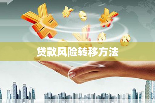 炉霍贷款风险转移方法