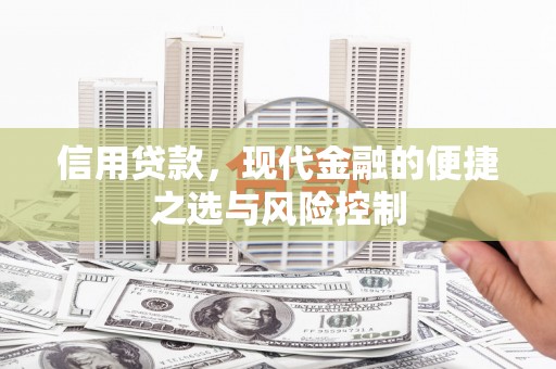 炉霍信用贷款，现代金融的便捷之选与风险控制