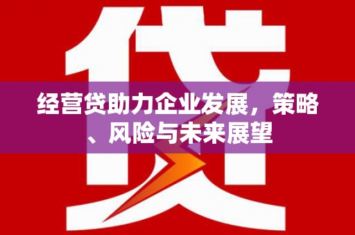 炉霍经营贷助力企业发展，策略、风险与未来展望