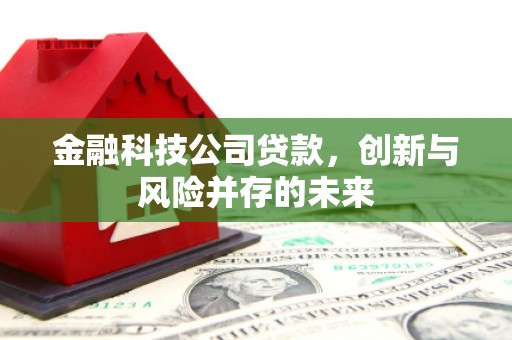 炉霍金融科技公司贷款，创新与风险并存的未来