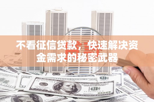 炉霍不看征信贷款，快速解决资金需求的秘密武器