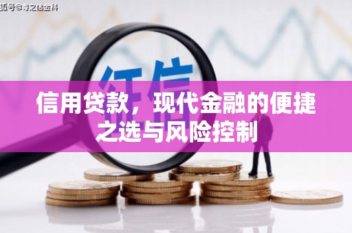炉霍信用贷款，现代金融的便捷之选与风险控制