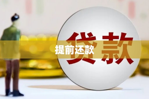 炉霍提前还款