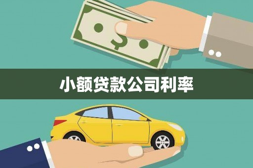 炉霍小额贷款公司利率