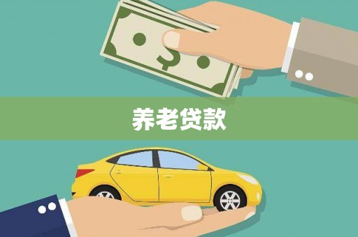 炉霍养老贷款