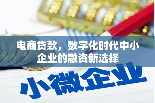 炉霍电商贷款，数字化时代中小企业的融资新选择