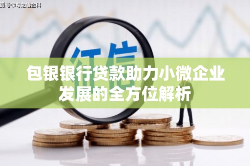 炉霍包银银行贷款助力小微企业发展的全方位解析