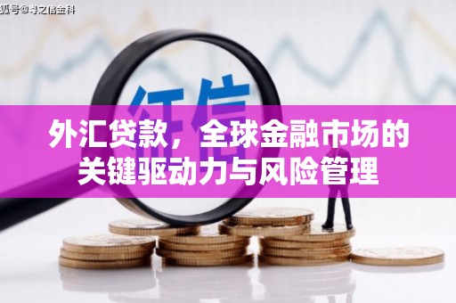 炉霍外汇贷款，全球金融市场的关键驱动力与风险管理