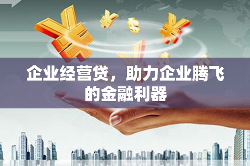 炉霍企业经营贷，助力企业腾飞的金融利器