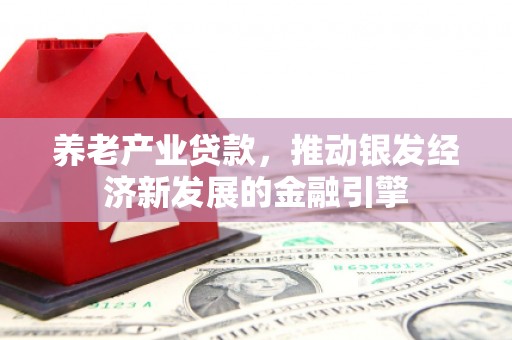 炉霍养老产业贷款，推动银发经济新发展的金融引擎