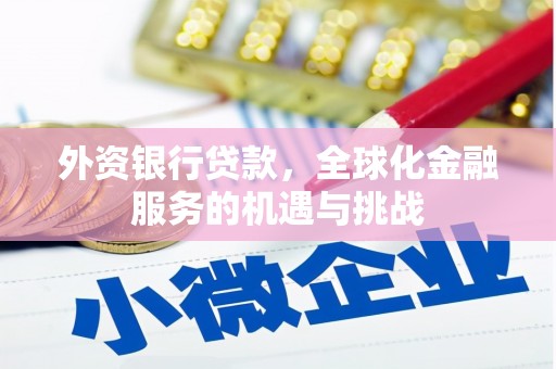 炉霍外资银行贷款，全球化金融服务的机遇与挑战