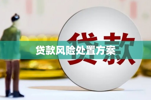 炉霍贷款风险处置方案