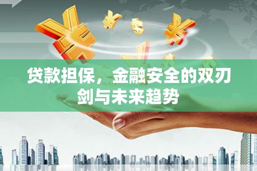 炉霍贷款担保，金融安全的双刃剑与未来趋势