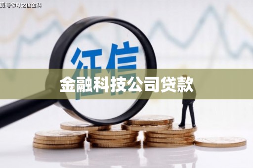 炉霍金融科技公司贷款